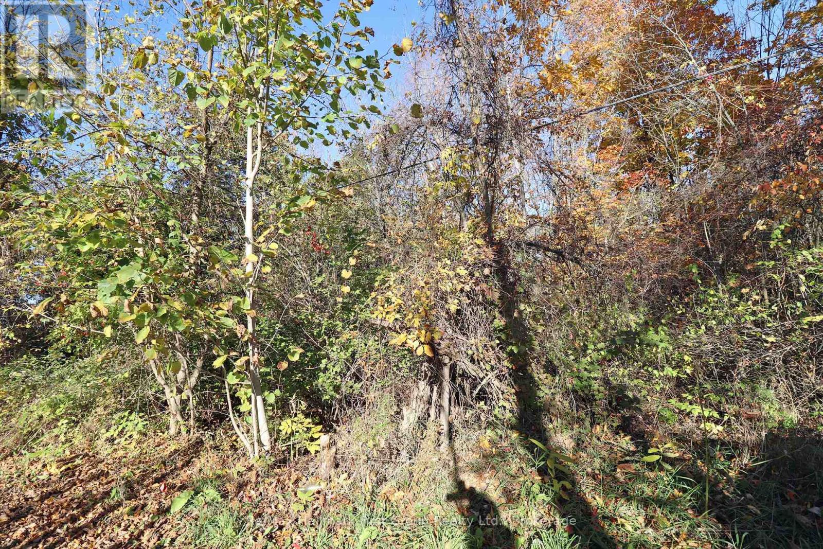 Lt 16 Sunsmile Lane, Tweed, Ontario  K0K 3J0 - Photo 22 - X14096892