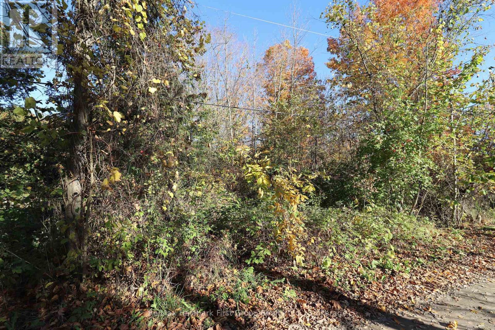 Lt 16 Sunsmile Lane, Tweed, Ontario  K0K 3J0 - Photo 23 - X14096892