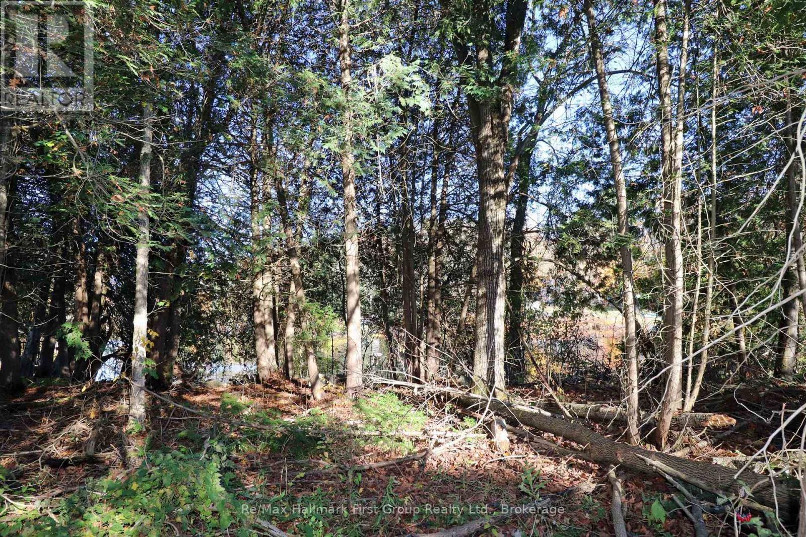 Lt 16 Sunsmile Lane, Tweed, Ontario  K0K 3J0 - Photo 4 - X14096892
