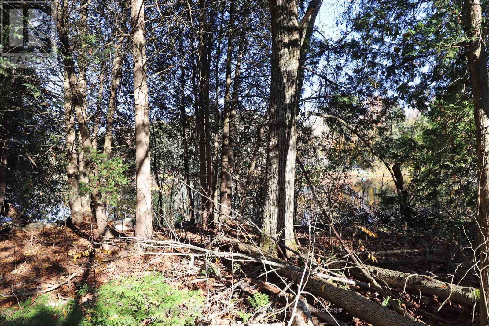 Lt 16 Sunsmile Lane, Tweed, Ontario  K0K 3J0 - Photo 6 - X14096892