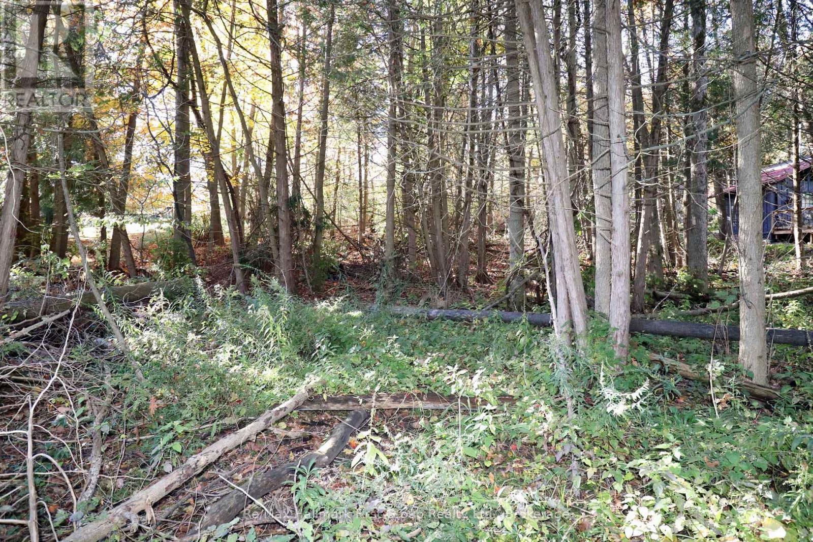 Lt 16 Sunsmile Lane, Tweed, Ontario  K0K 3J0 - Photo 7 - X14096892
