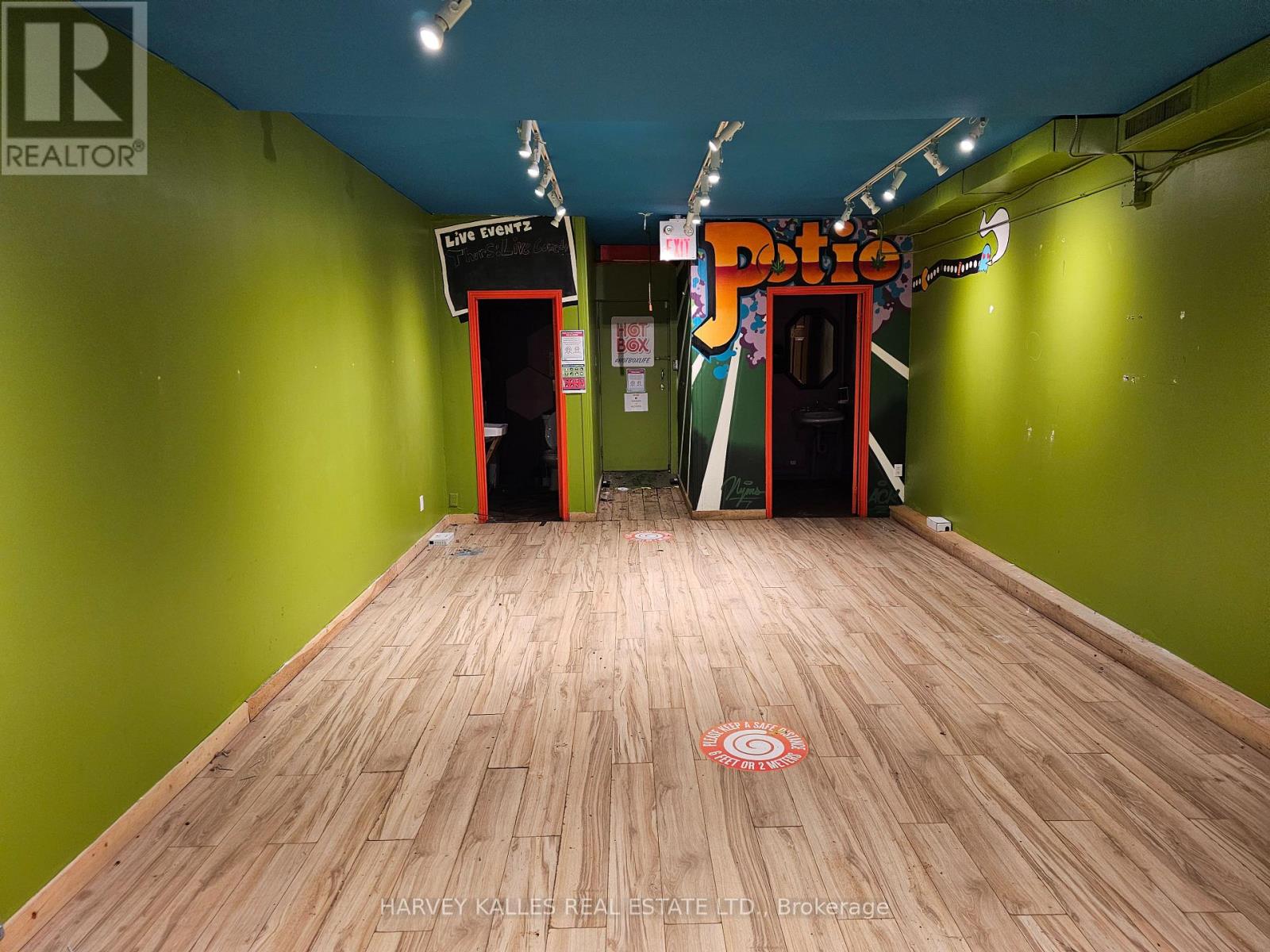 Main - 206 Augusta Avenue, Toronto, Ontario  M5T 2L6 - Photo 8 - C14097222