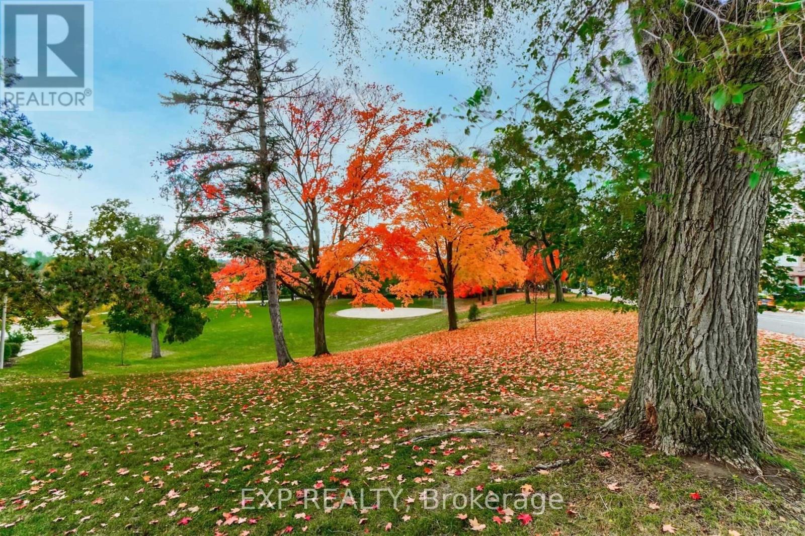 Lower - 5 Brendwin Road, Toronto (Rockcliffe-Smythe), Ontario  M6N 4V6 - Photo 14 - W14096908