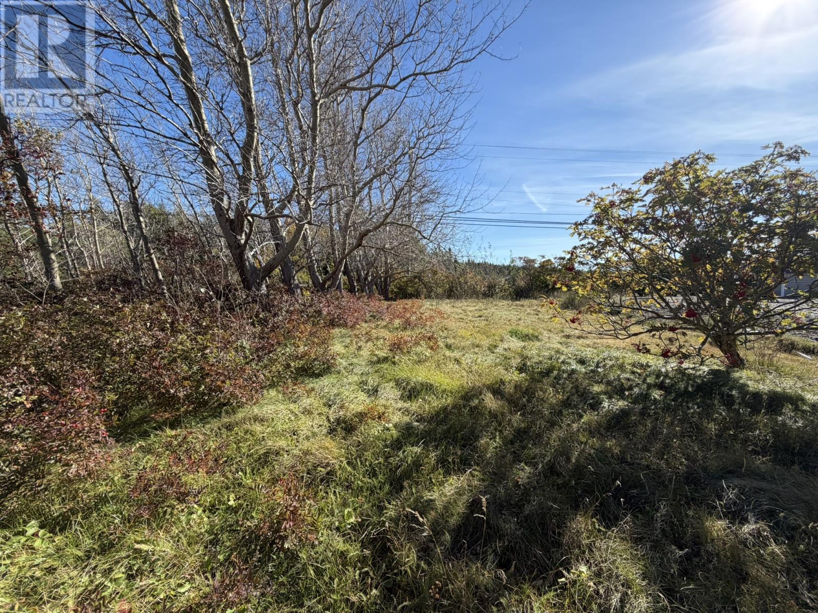 1812-1818 Conception Bay Highway Highway, Conception Bay South — photo 5