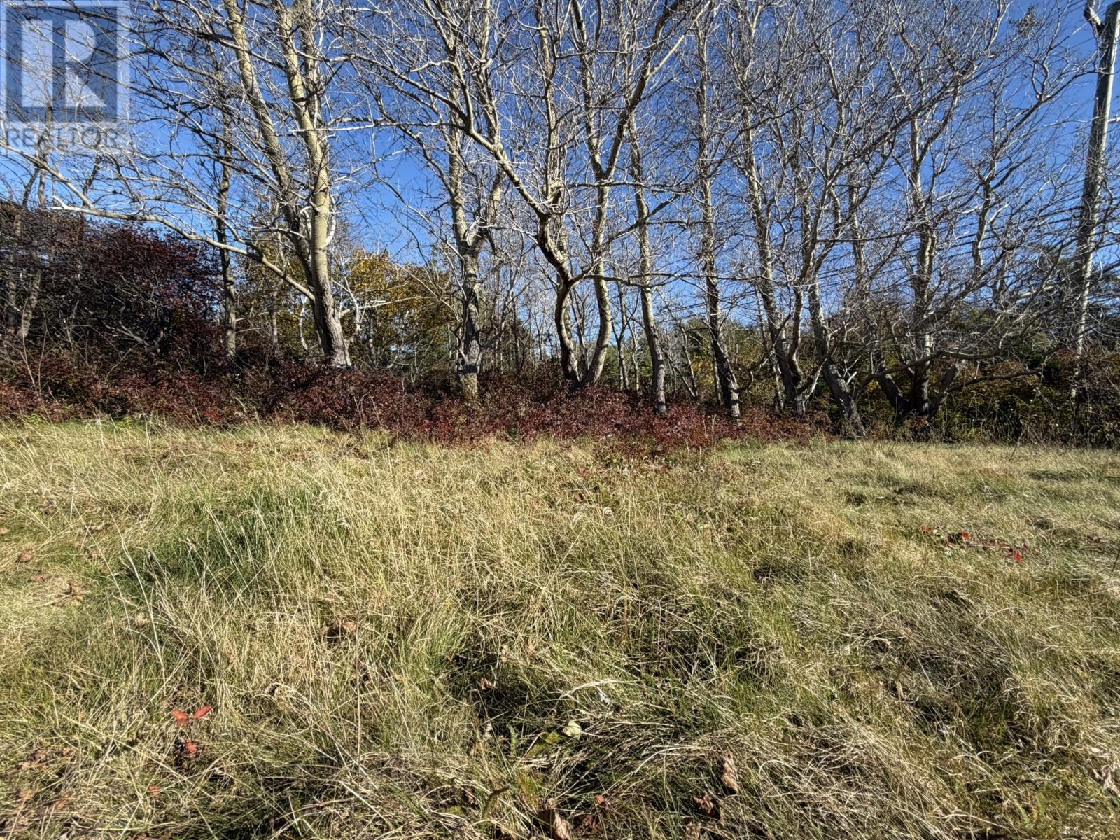 1812-1818 Conception Bay Highway Highway, Conception Bay South — photo 6