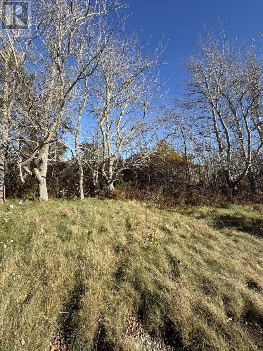 1812-1818 Conception Bay Highway Highway, Conception Bay South — photo 7