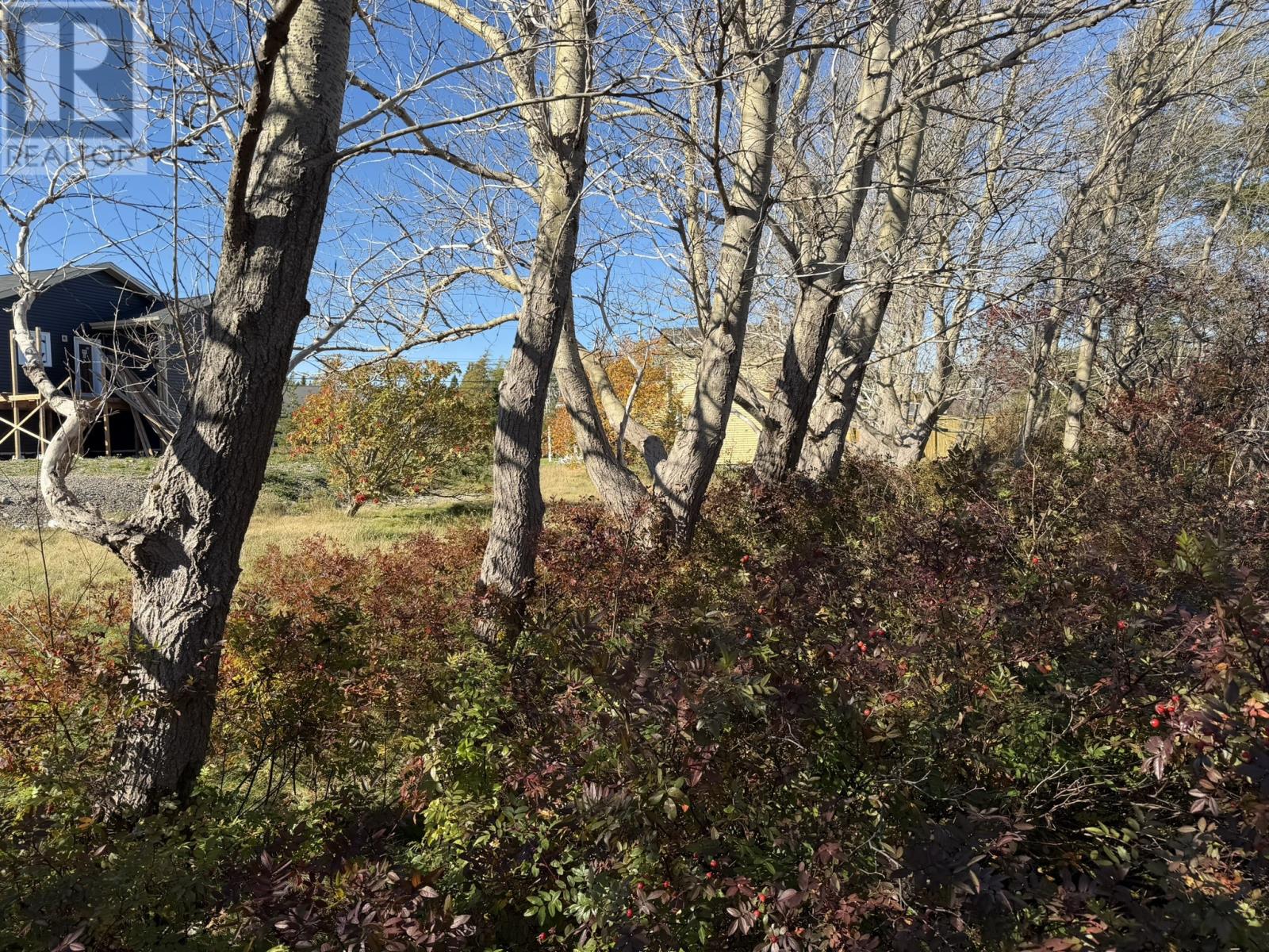 1812-1818 Conception Bay Highway Highway, Conception Bay South — photo 9