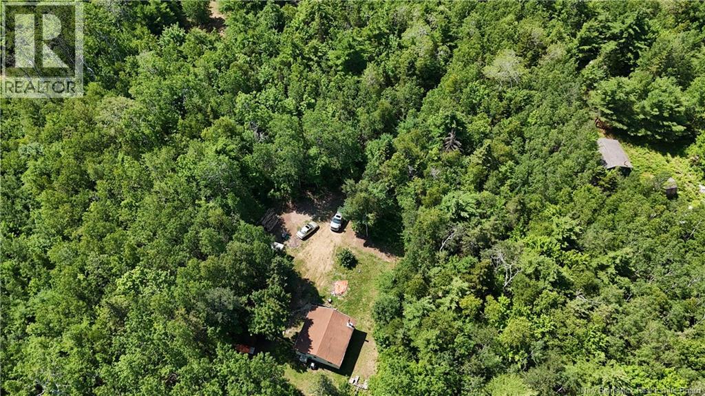 Camp Prosser Brook Road, Parkindale, New Brunswick  E4Z 2E5 - Photo 23 - NB145625