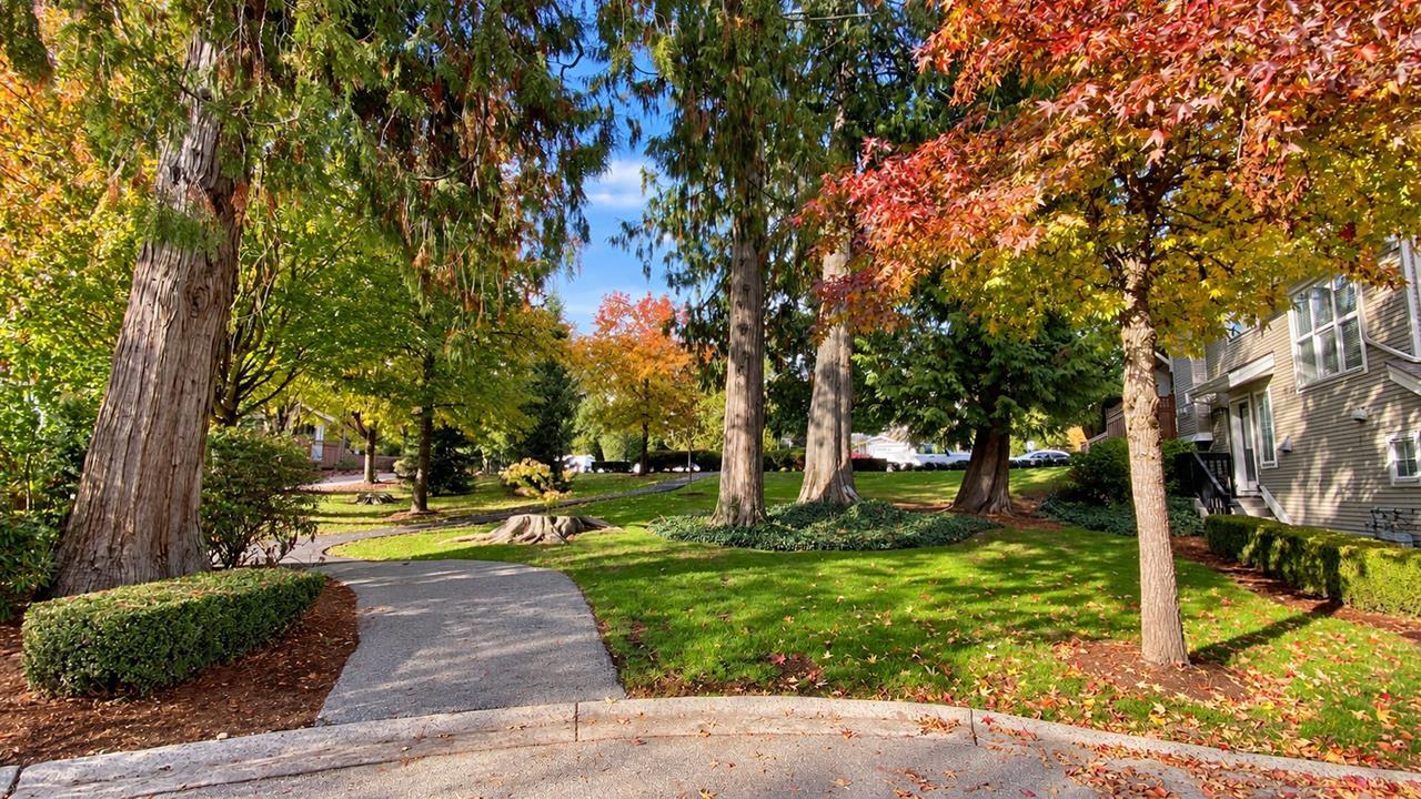87 20460 66 Avenue, Langley, British Columbia  V2Y 3B6 - Photo 32 - R3176689