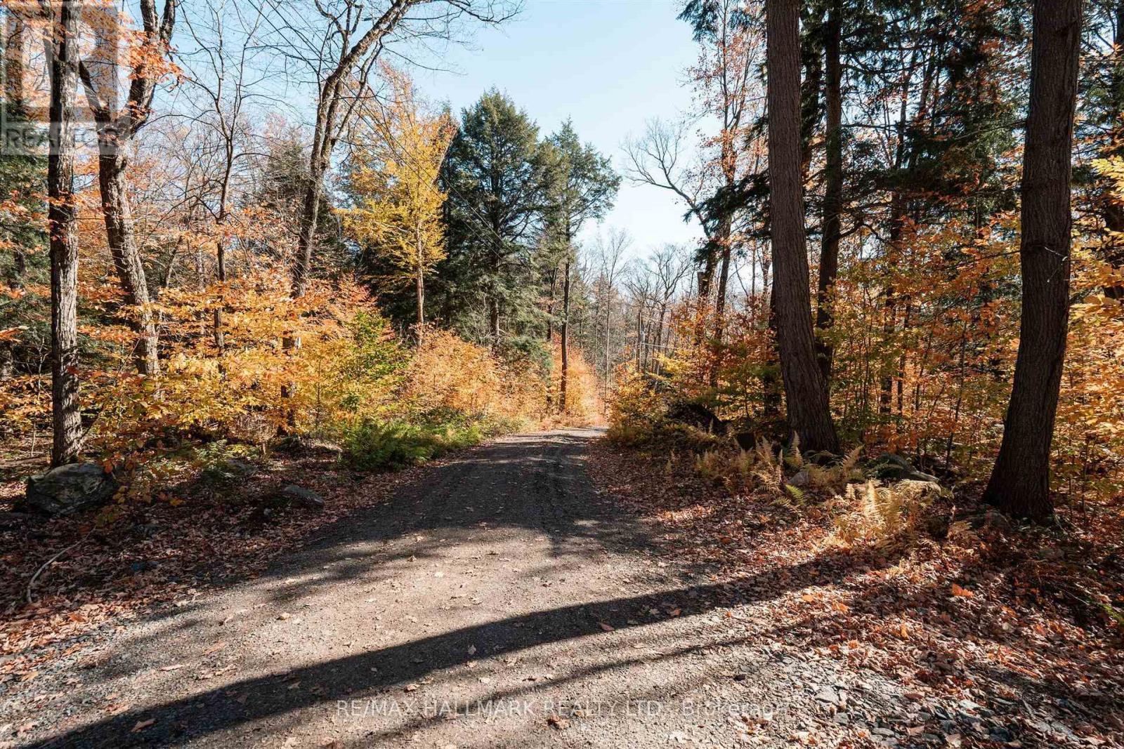 Unit 11 Lot 5 - 1310 Camel Lake Road, Muskoka Lakes, Ontario  P1L 1X4 - Photo 10 - X14097408