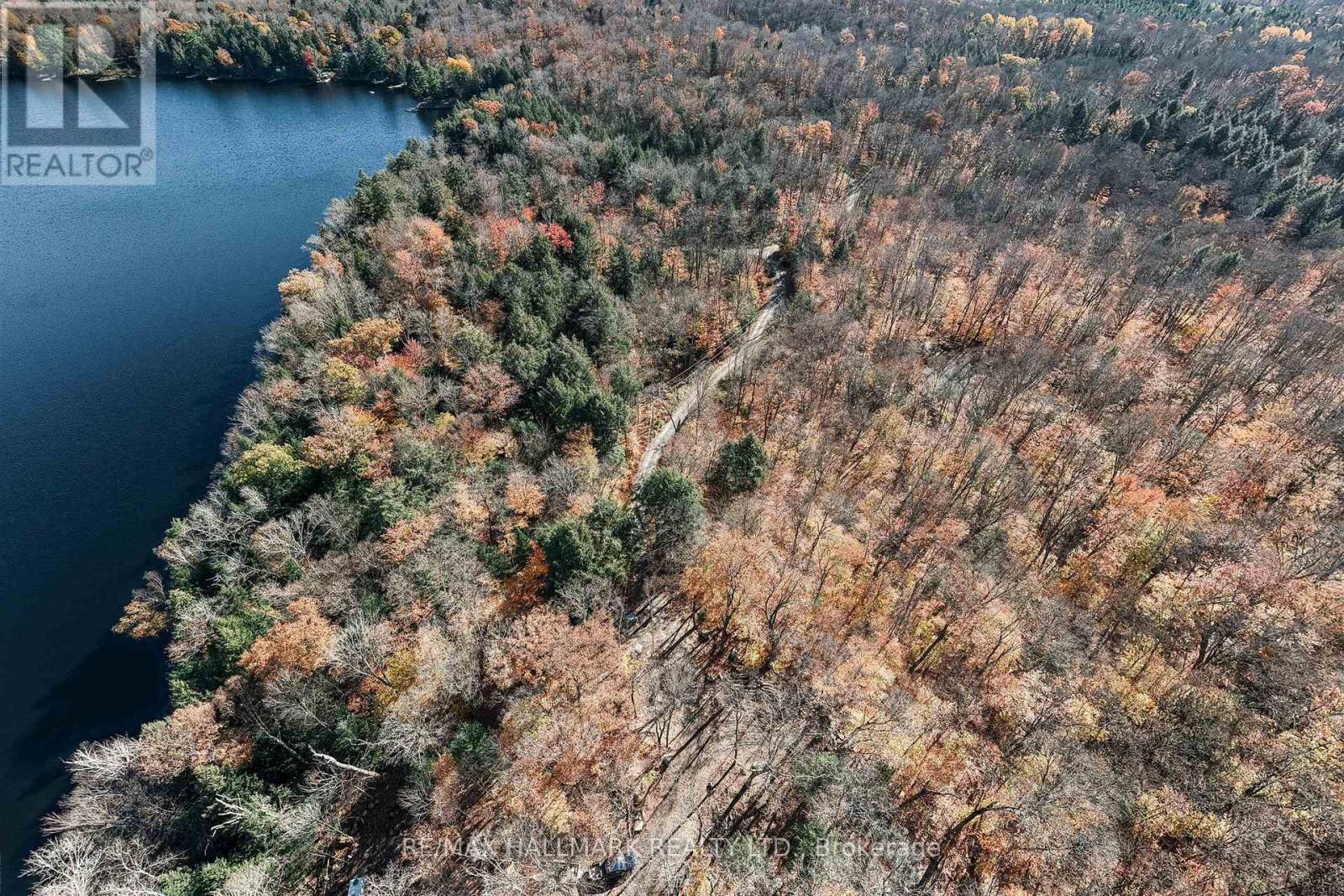 Unit 11 Lot 5 - 1310 Camel Lake Road, Muskoka Lakes, Ontario  P1L 1X4 - Photo 2 - X14097408