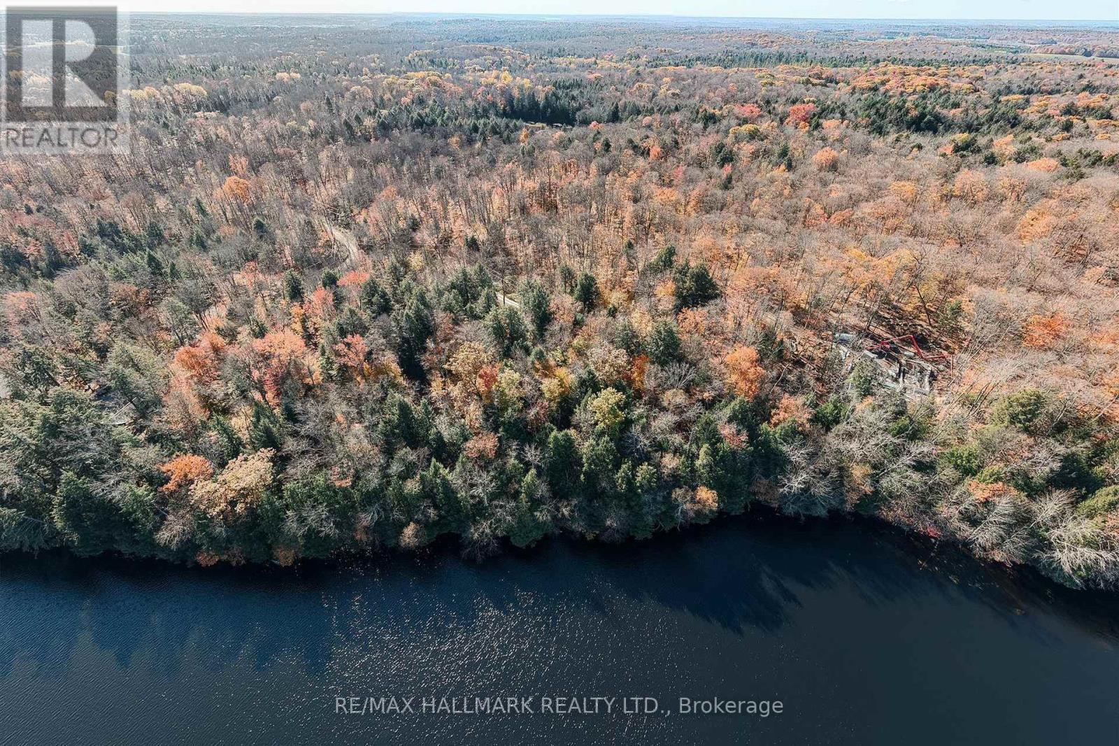 Unit 11 Lot 5 - 1310 Camel Lake Road, Muskoka Lakes, Ontario  P1L 1X4 - Photo 3 - X14097408