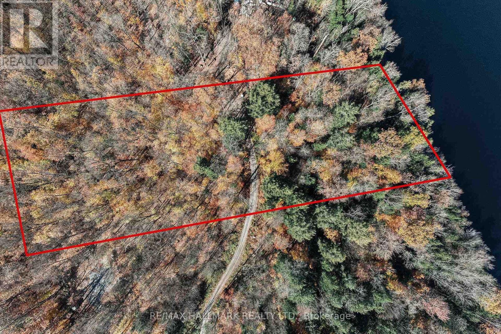 Unit 11 Lot 5 - 1310 Camel Lake Road, Muskoka Lakes, Ontario  P1L 1X4 - Photo 6 - X14097408