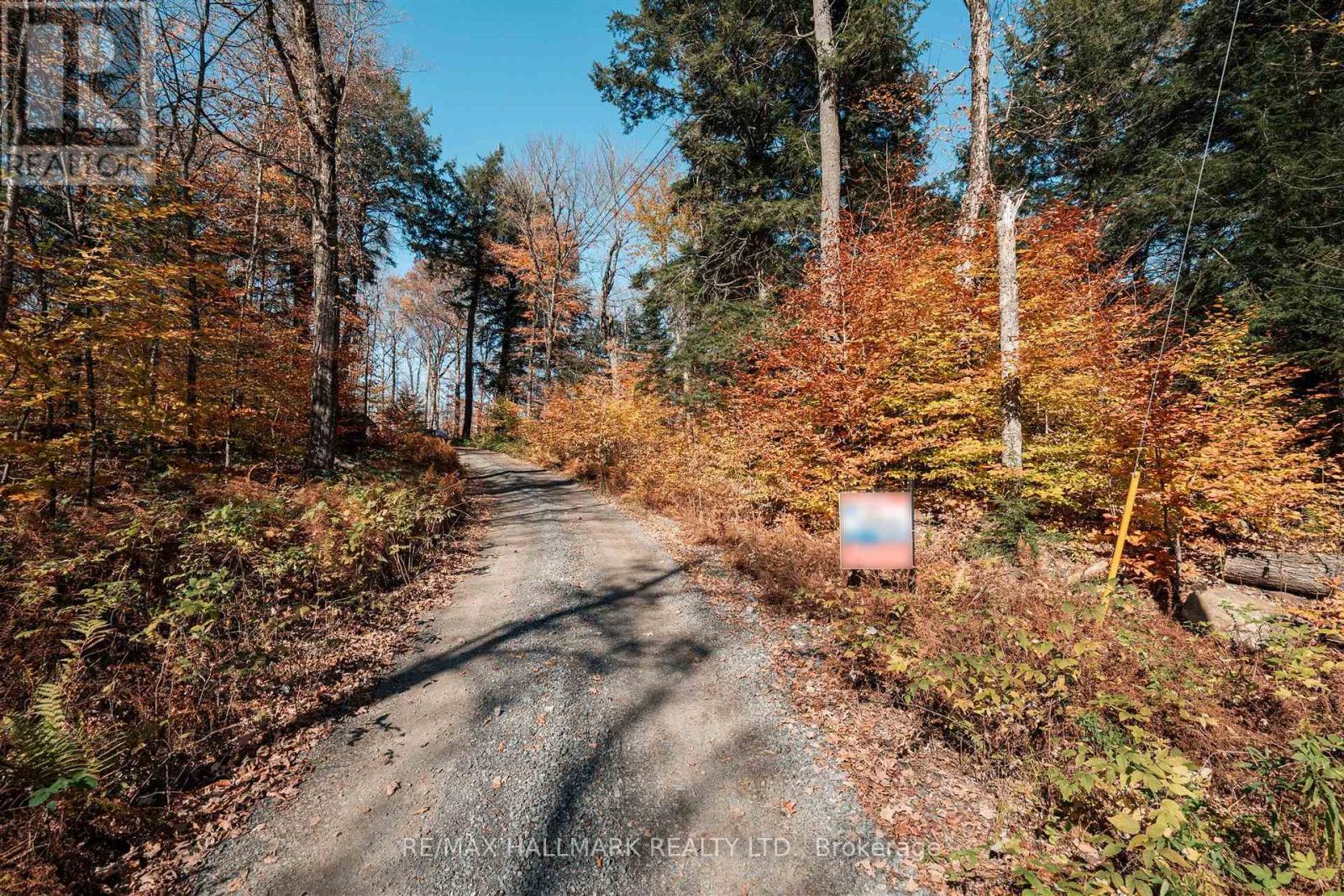 Unit 11 Lot 5 - 1310 Camel Lake Road, Muskoka Lakes, Ontario  P1L 1X4 - Photo 7 - X14097408