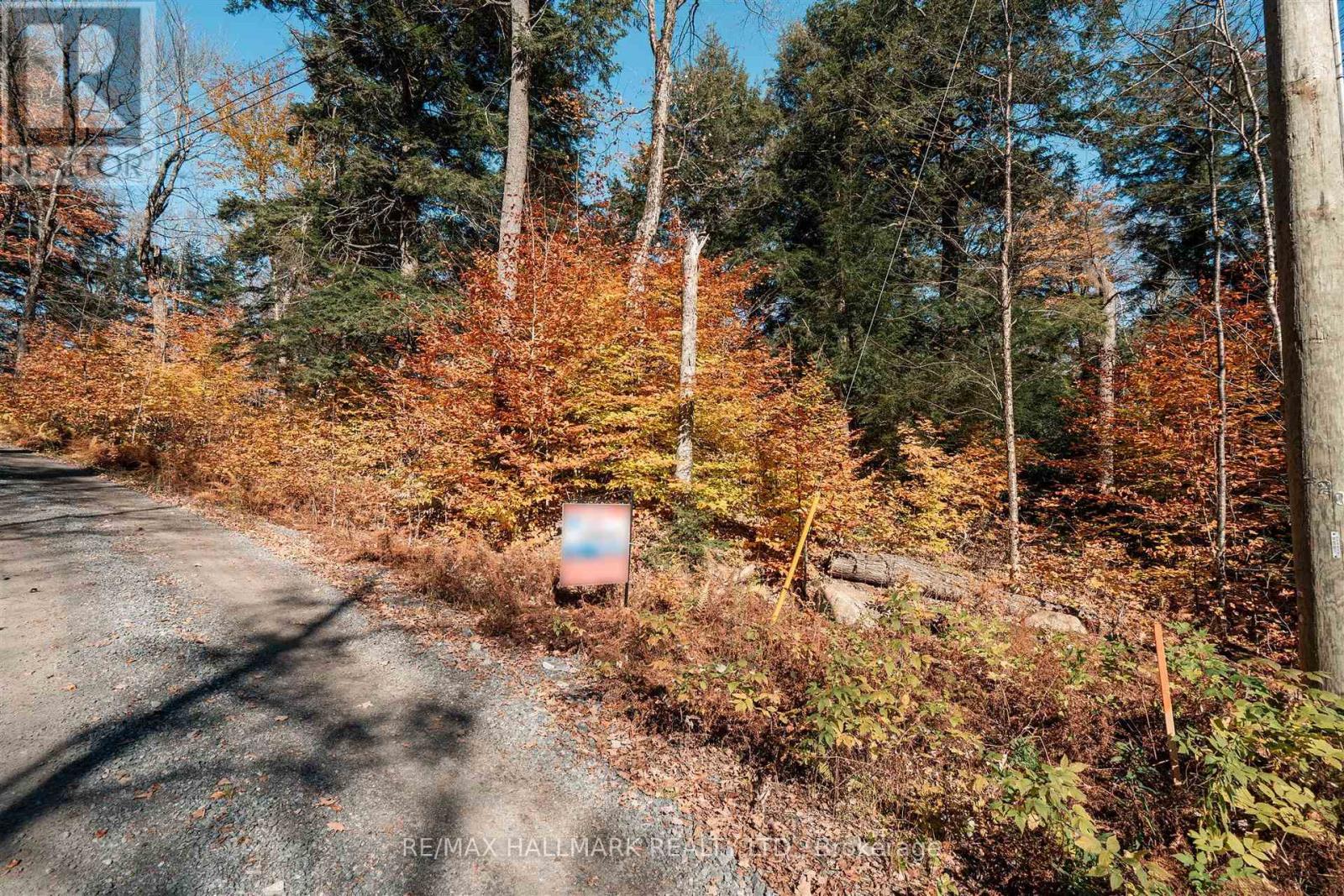 Unit 11 Lot 5 - 1310 Camel Lake Road, Muskoka Lakes, Ontario  P1L 1X4 - Photo 8 - X14097408