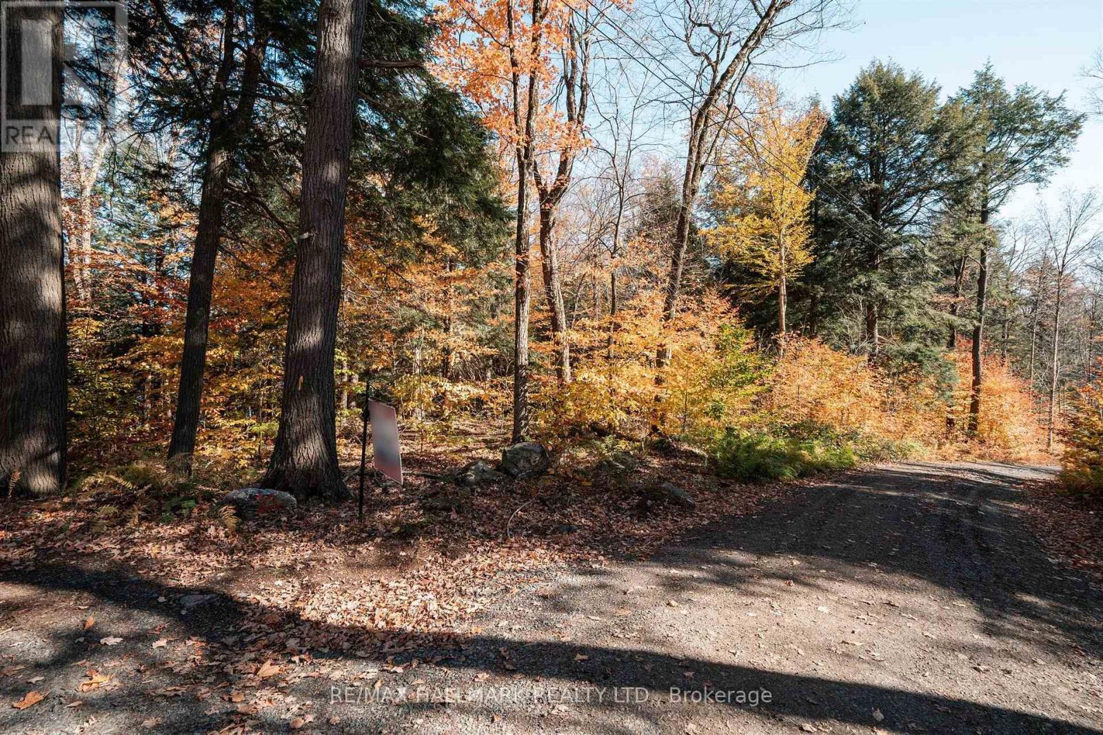 Unit 11 Lot 5 - 1310 Camel Lake Road, Muskoka Lakes, Ontario  P1L 1X4 - Photo 9 - X14097408