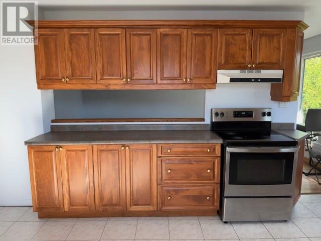 195 Donald Street, Sudbury, Ontario  P3B 3T5 - Photo 14 - 2131028