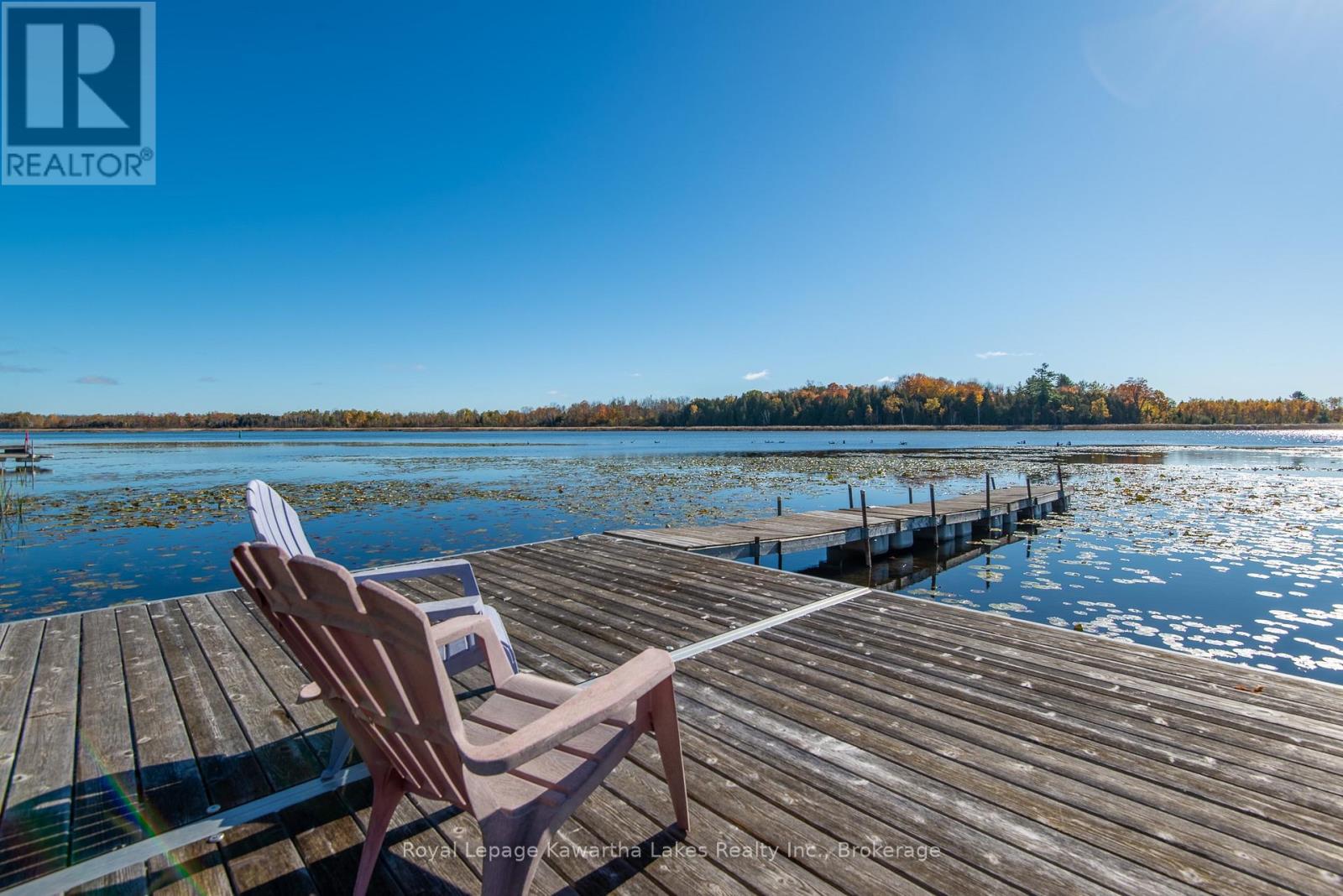 222 O'reilly Lane, Kawartha Lakes, Ontario  K0M 2C0 - Photo 41 - X14097988