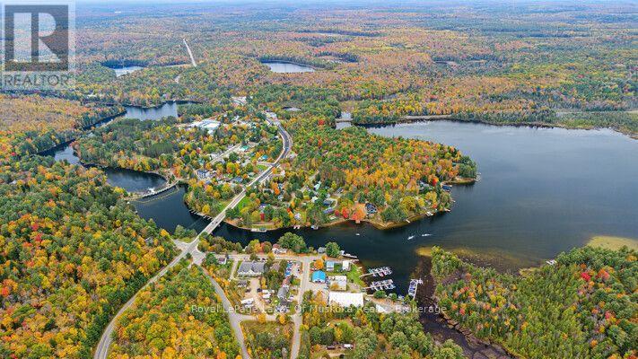 13 East Road, Lake Of Bays, Ontario  P0B 1A0 - Photo 27 - X14098016