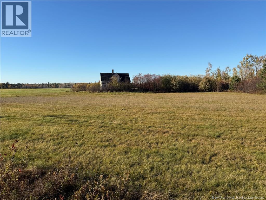 7848 Route 117, Black River Bridge, New Brunswick  E1N 5L2 - Photo 2 - NB150009