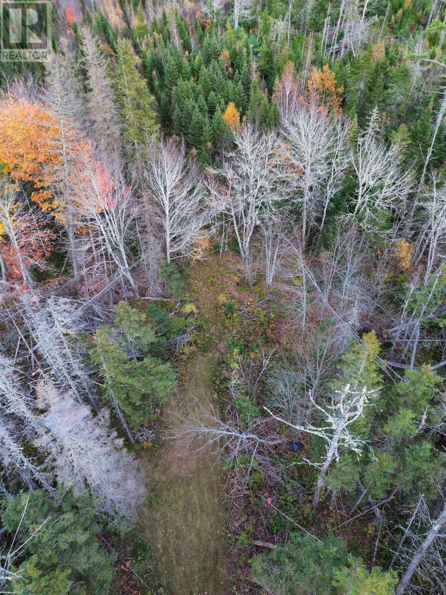 Land Highway 307 Wentworth Ns, Lower Wentworth, Nova Scotia  B0M 1Z0 - Photo 12 - 202626233