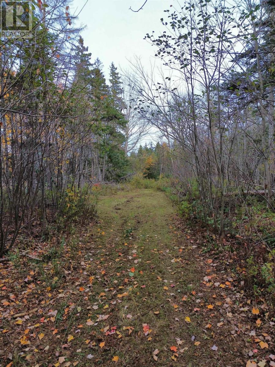 Land Highway 307 Wentworth Ns, Lower Wentworth, Nova Scotia  B0M 1Z0 - Photo 16 - 202626233