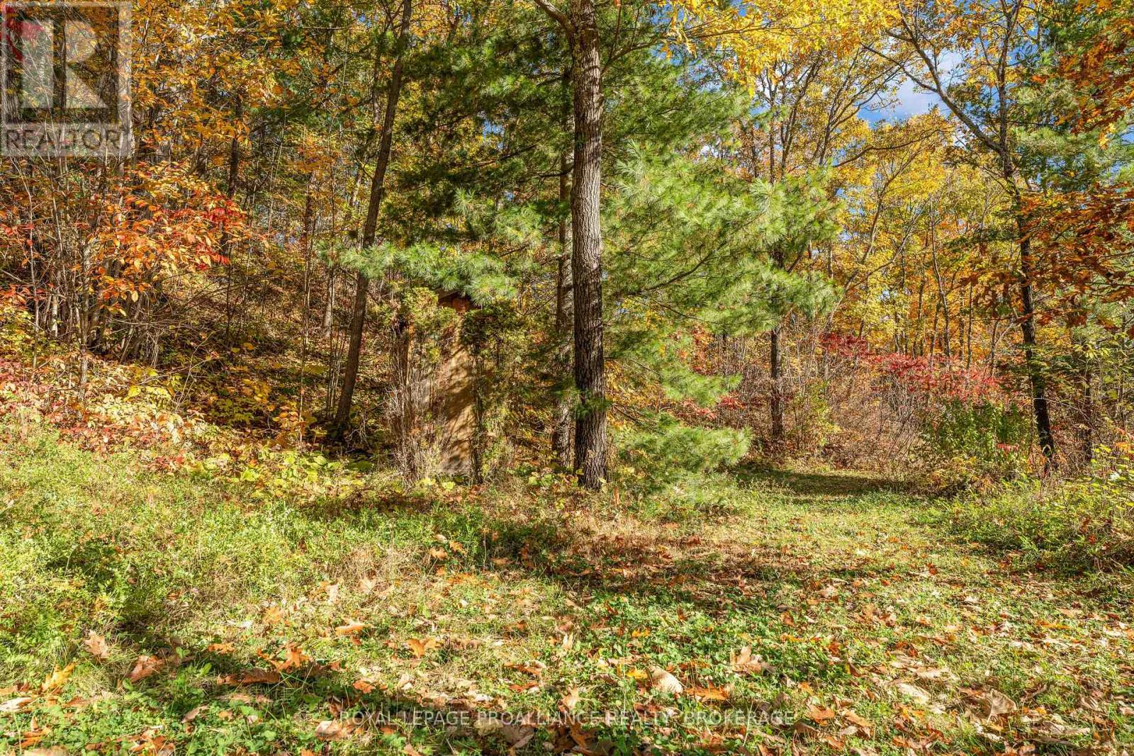 2089 Crow Lake Road, Frontenac, Ontario  K0H 2V0 - Photo 40 - X14098464