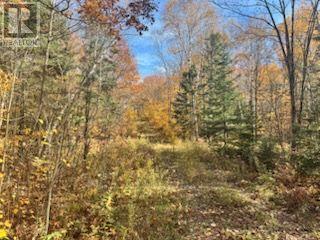 425 Bartlett Lake Road, Ryerson, Ontario P0A 1C0 - Photo 2 - X14098412