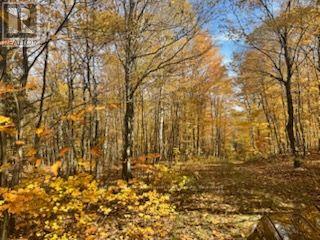 425 Bartlett Lake Road, Ryerson, Ontario P0A 1C0 - Photo 3 - X14098412