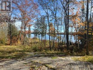 425 Bartlett Lake Road, Ryerson, Ontario P0A 1C0 - Photo 4 - X14098412
