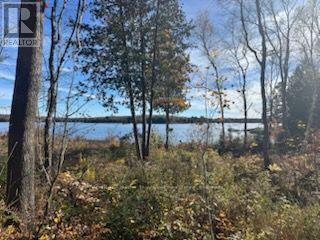 425 Bartlett Lake Road, Ryerson, Ontario P0A 1C0 - Photo 5 - X14098412