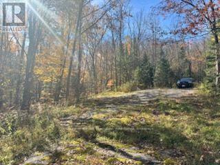 425 Bartlett Lake Road, Ryerson, Ontario P0A 1C0 - Photo 6 - X14098412