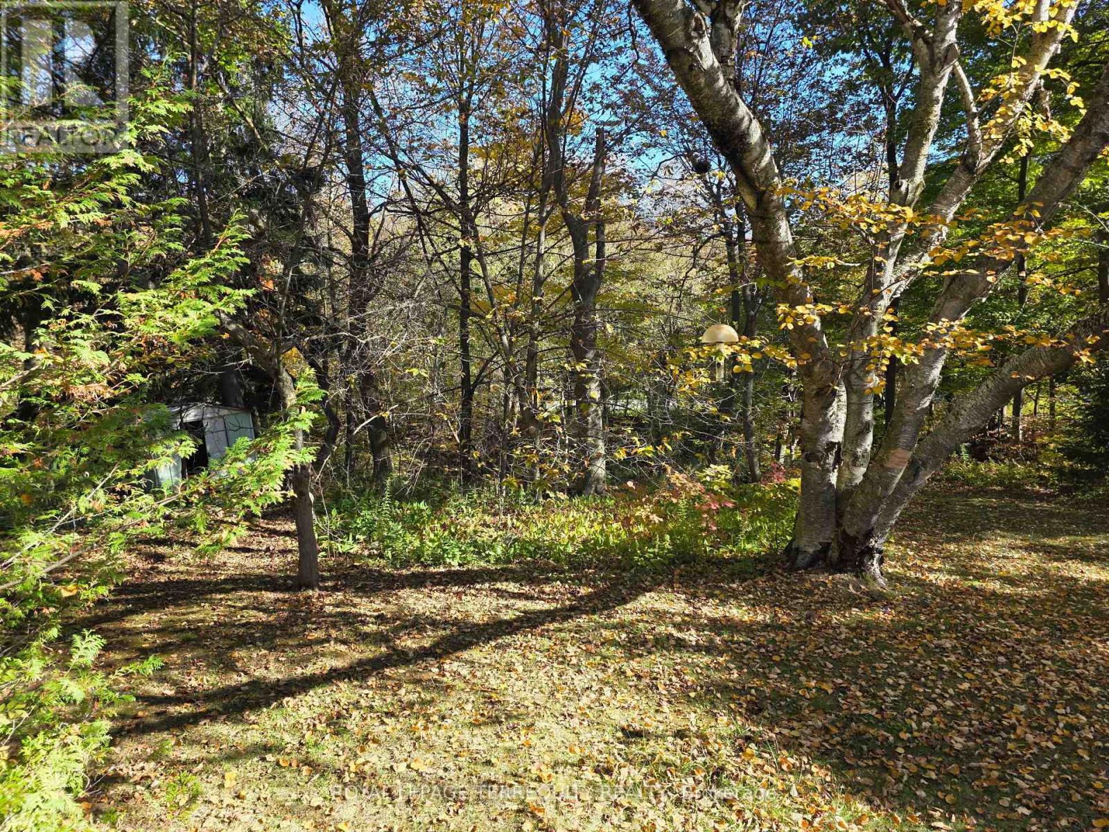107 Cliffcrest Drive, Toronto, Ontario M1M 2K1 - Photo 2 - E14098594
