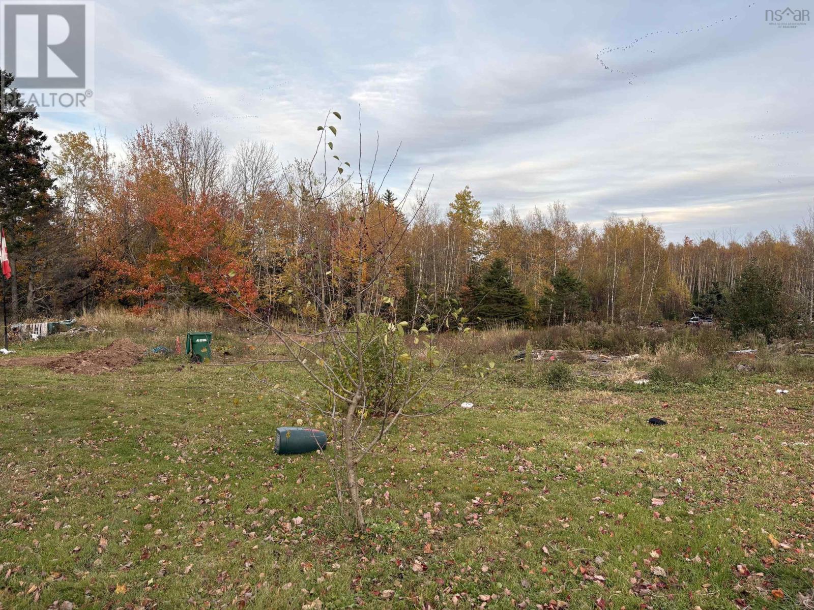 72 Beck Road, Scotch Hill, Nova Scotia  B0K 1H0 - Photo 8 - 202626219