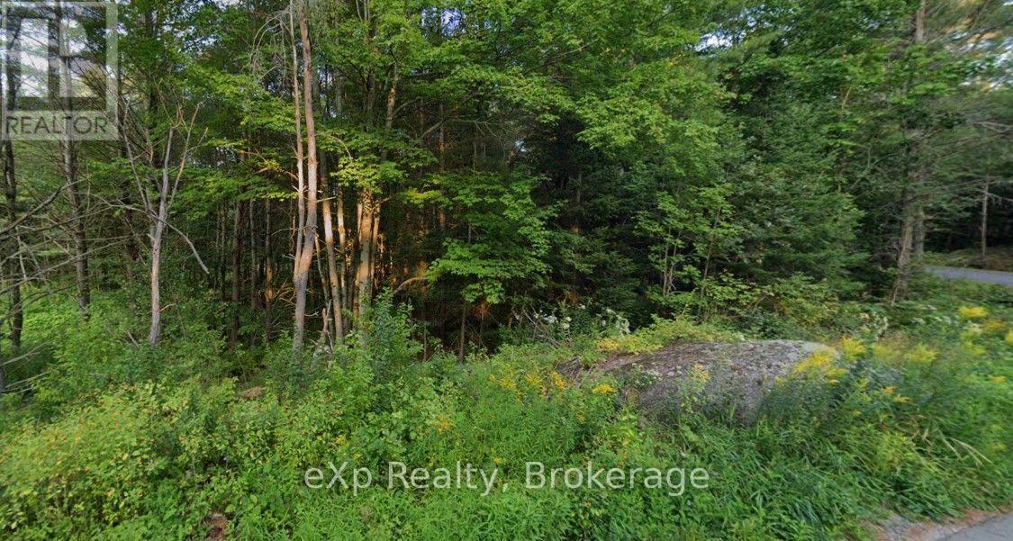 1003 Silver Lake Road, Gravenhurst, Ontario  P1P 0G3 - Photo 7 - X14089600