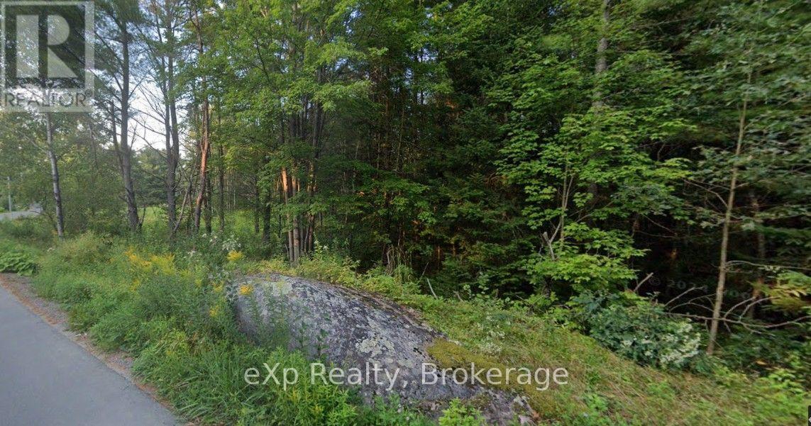1003 Silver Lake Road, Gravenhurst, Ontario  P1P 0G3 - Photo 6 - X14089600
