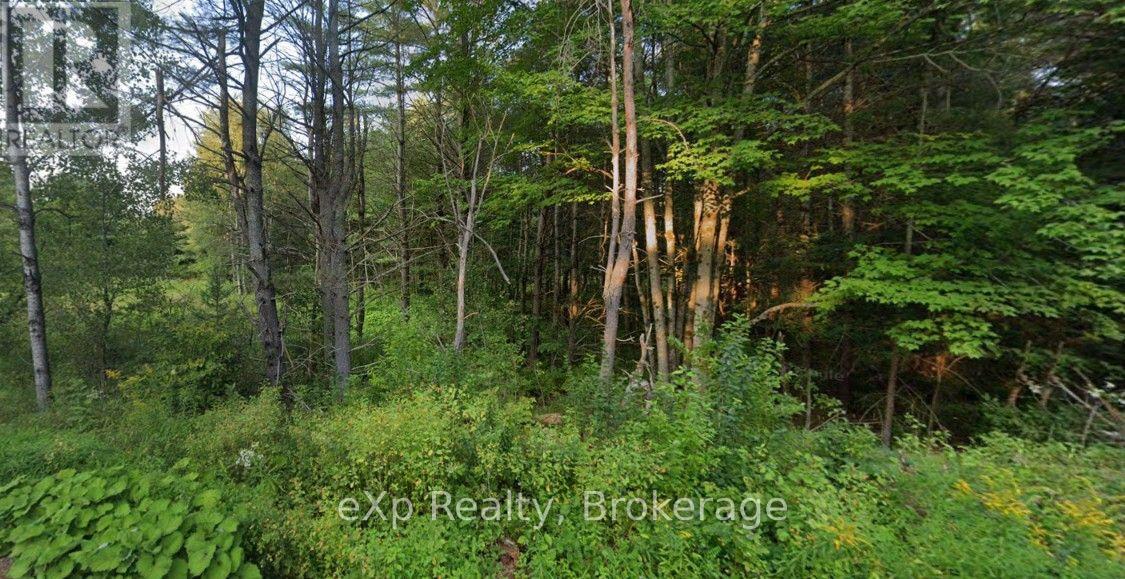 1003 Silver Lake Road, Gravenhurst, Ontario  P1P 0G3 - Photo 8 - X14089600