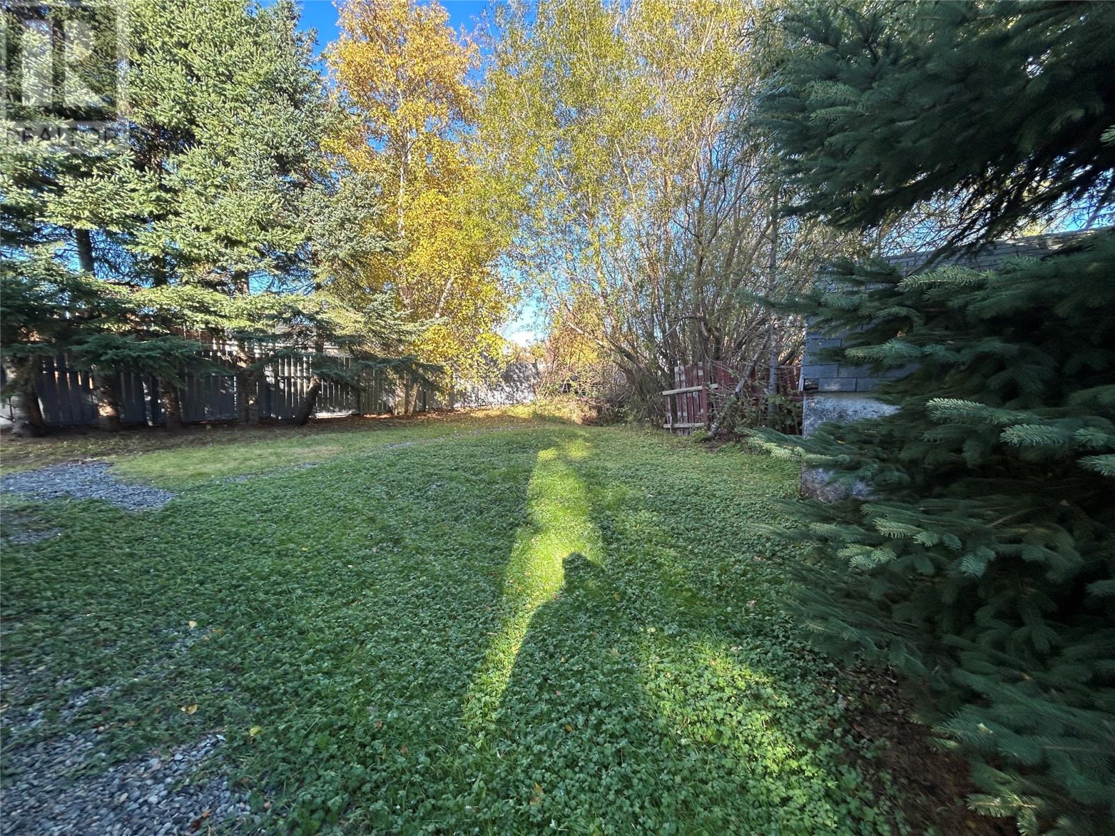 10 Whitmore Street, Grand Falls-Windsor — photo 6