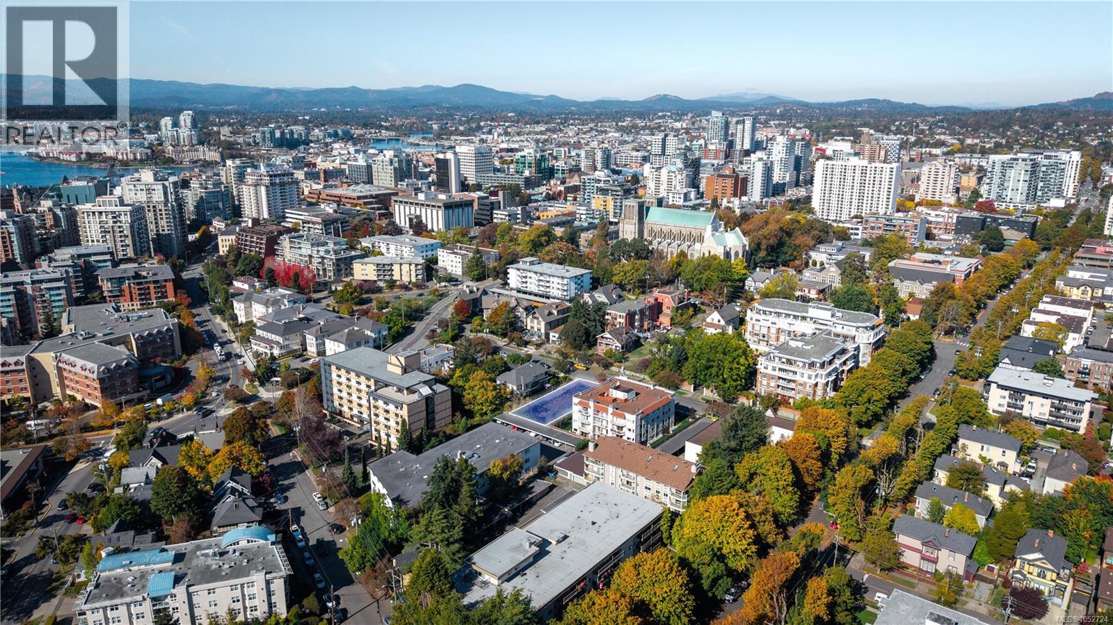 931 Mcclure St, Victoria, British Columbia  V8V 3E8 - Photo 5 - 1052724