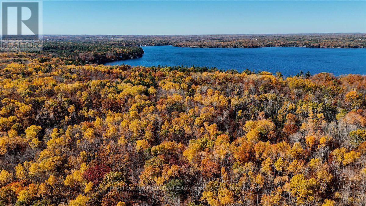 725 Birchview Road, Douro-Dummer, Ontario K0L 2H0 - Photo 45 - X14098968