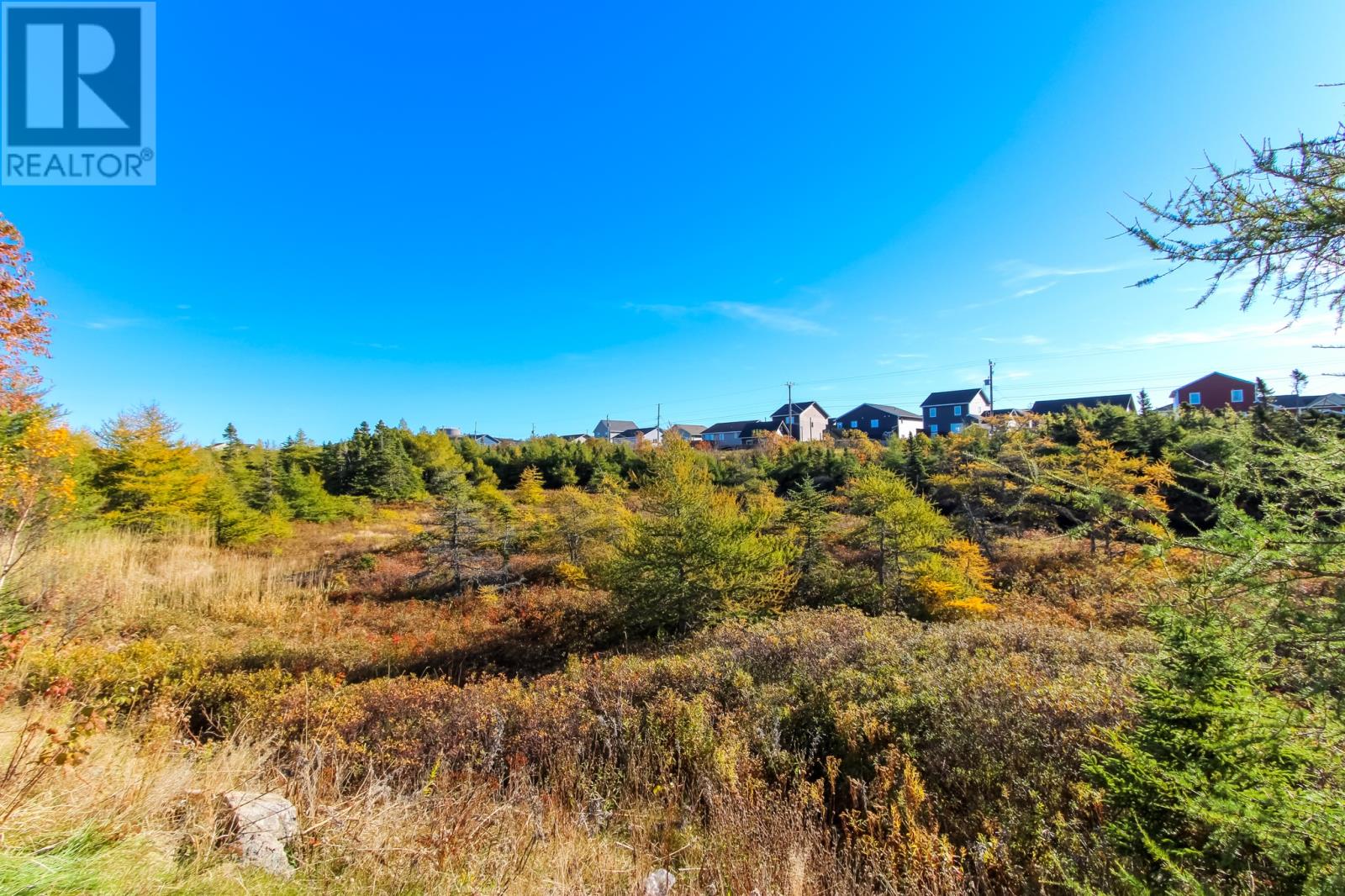 132 St.Thomas Line, Paradise — photo 42