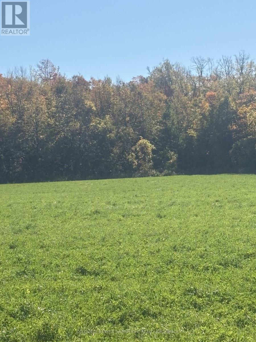 Part Lot 25 Danceland Road, Bluewater, Ontario  N0M 2T0 - Photo 3 - X14099234