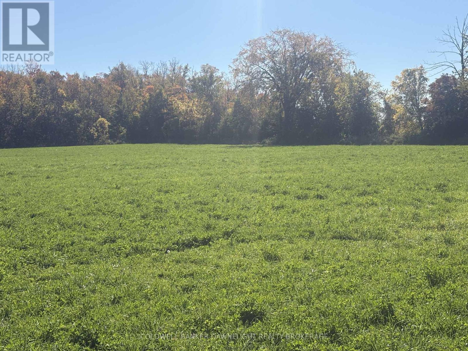 Part Lot 25 Danceland Road, Bluewater, Ontario  N0M 2T0 - Photo 4 - X14099234