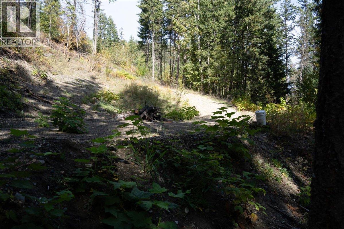 160 Needles North Road, Needles, British Columbia  V0G 1K0 - Photo 20 - 10403897