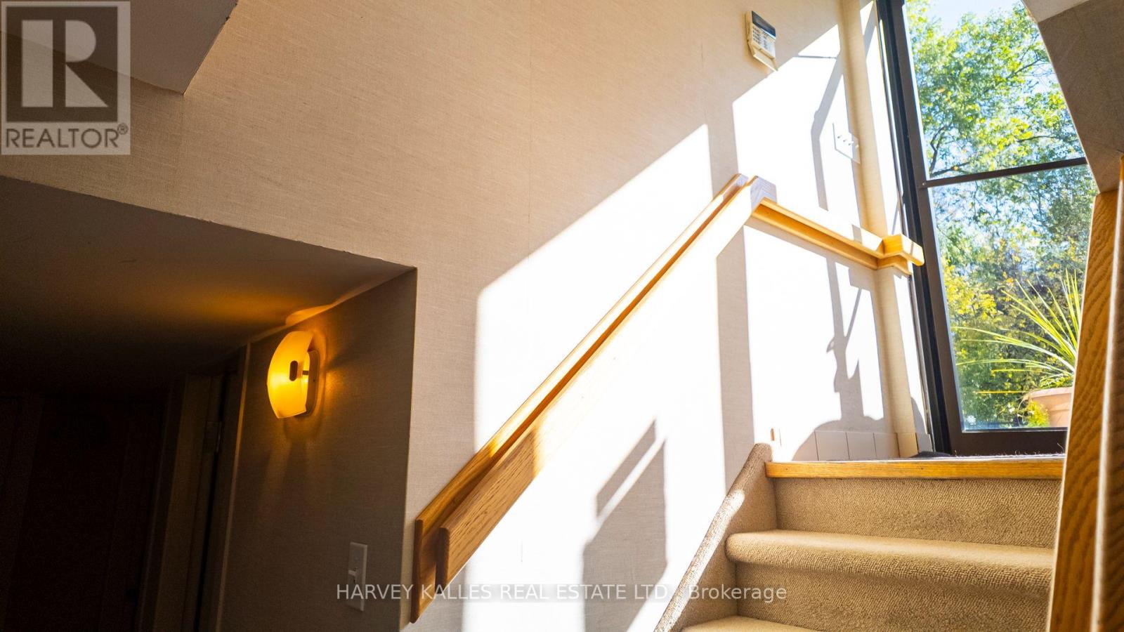 137 Sheppard Avenue E, Toronto, Ontario  M2N 3A6 - Photo 18 - C14098972