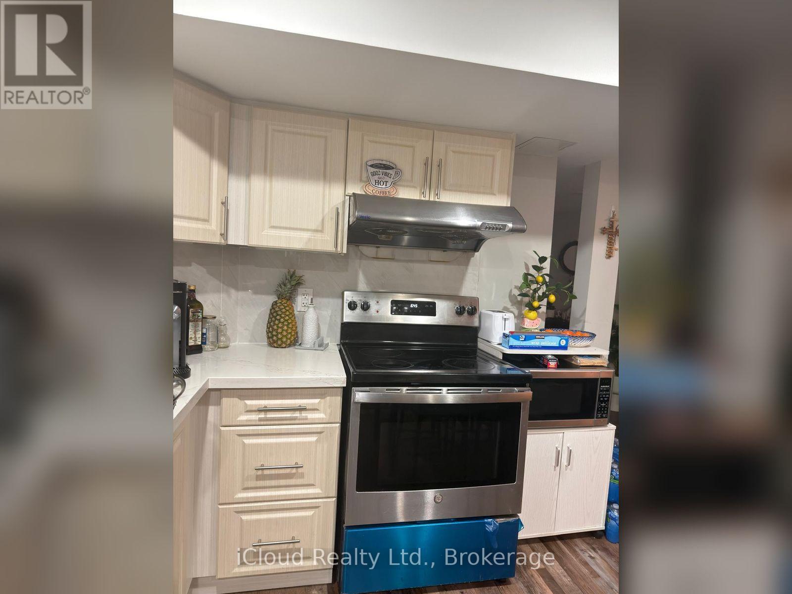 Basement - 409 Hincks Drive, Milton, Ontario  L9T 6J4 - Photo 4 - W14099320