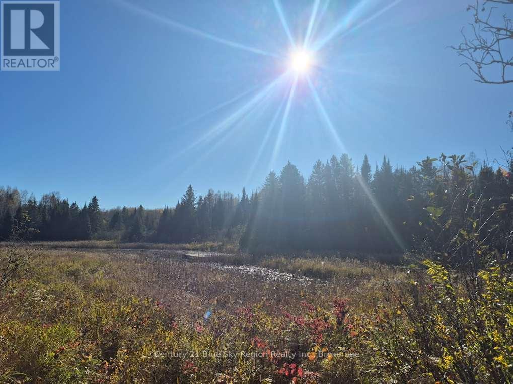 Part Lot 4 Highway 64, West Nipissing, Ontario  P0H 1L0 - Photo 23 - X14097698
