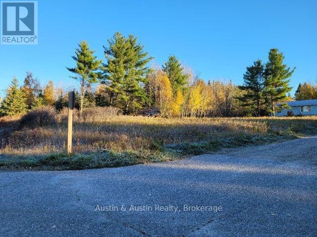 0 Lena Lane, Kenora Remote Area, Ontario  P0V 2W0 - Photo 1 - X14099412
