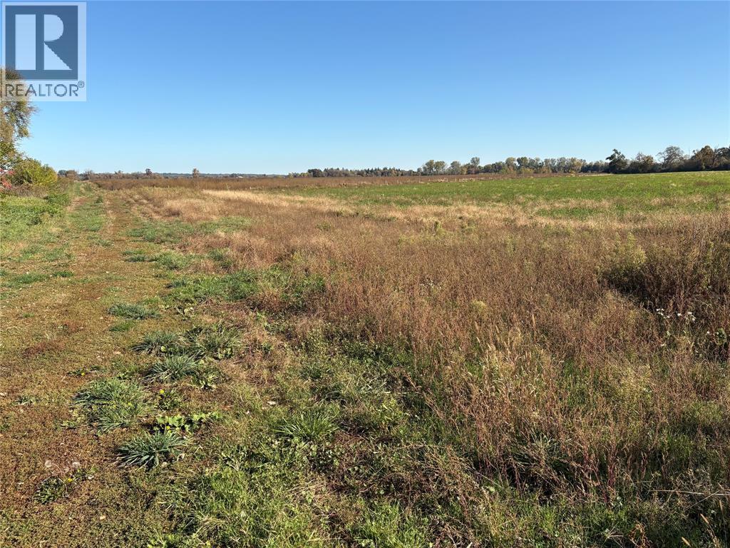 8152 Bog Line, Lambton Shores, Ontario  N0M 2N0 - Photo 3 - 26025765