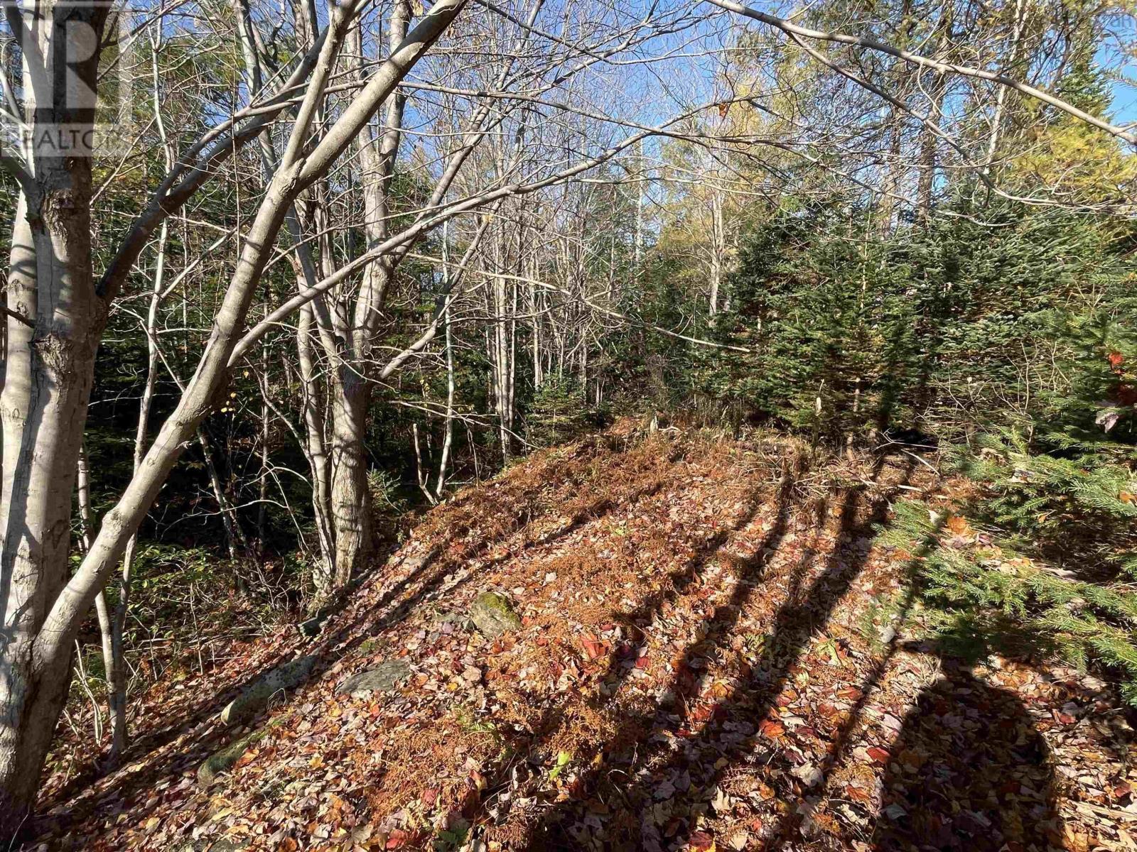Mosher Road, Conrod Settlement, Nova Scotia  B0J 2L0 - Photo 1 - 202526638